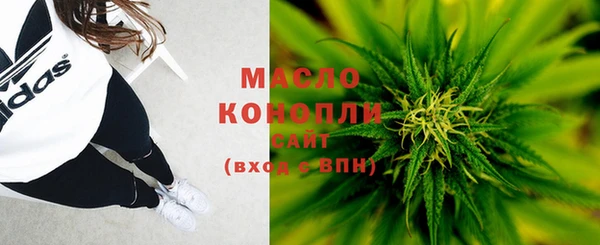эйфоретик Вяземский