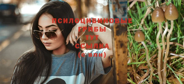 эйфоретик Вяземский