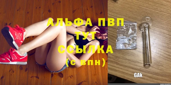 эйфоретик Вяземский