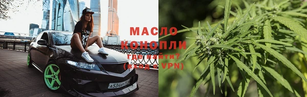 эйфоретик Вяземский