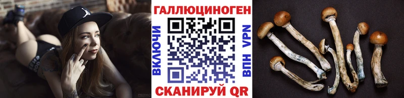 купить наркотики сайты  Зеленокумск  Галлюциногенные грибы Magic Shrooms 